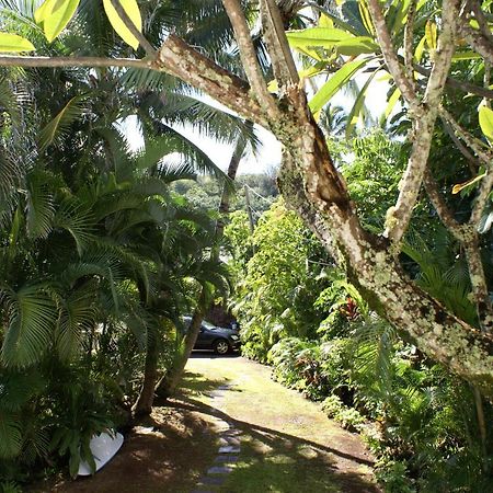 האלאיווה Waimea Bay Shoreline House מראה חיצוני תמונה