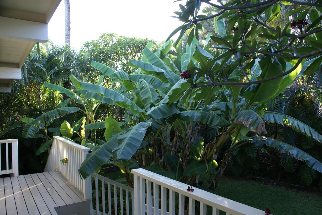 האלאיווה Waimea Bay Shoreline House מראה חיצוני תמונה