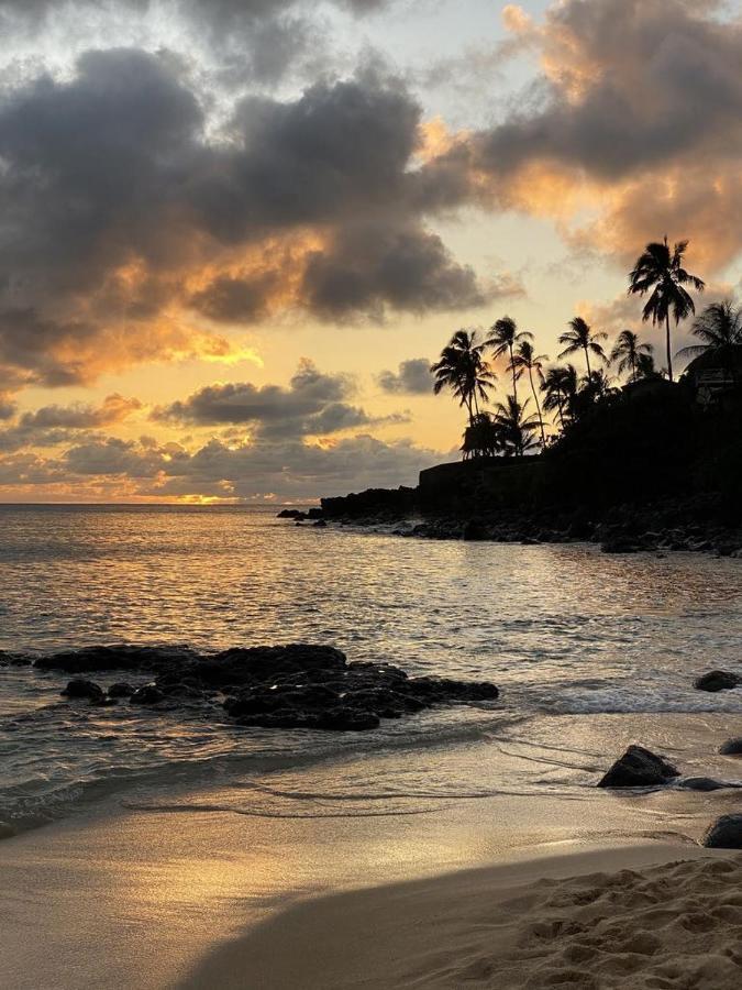 האלאיווה Waimea Bay Shoreline House מראה חיצוני תמונה